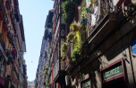 2017-09-23_099_Bilbao-Stadtrundgang-Altstadt